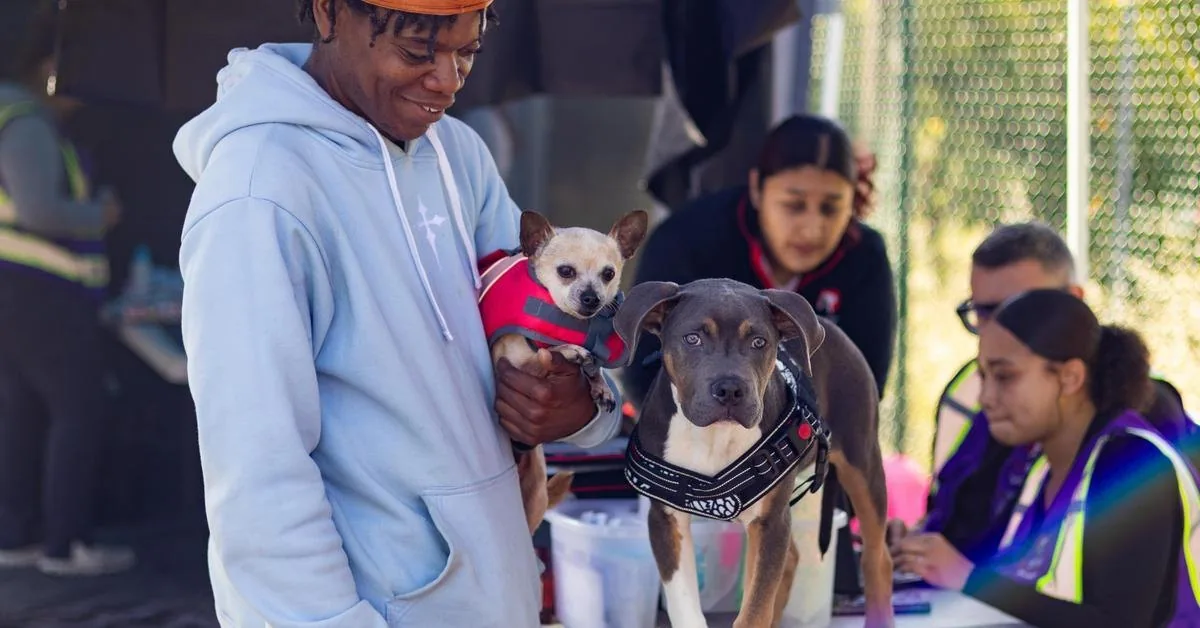 The Secret Life of Pets 2 Screening at Proxy SF (SF SPCA)